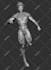 create stunning 3d characters for game, nft and printing