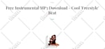 provide maintenance for business consultants wp website