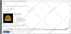do bulk email campaign and send the email directly inbox