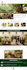 wix website design and redesign wix website redesign wix website development