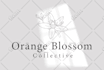 create a minimalist feminine boho botanical logo with hand drawn style