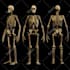 create a realistic 3d character models