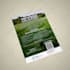 custom flyer, poster, brochure design, print and digital