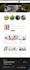 design, redesign and responsive wordpress elementor website by elementor pro