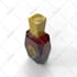 perfume bottle design and all visualization