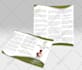 design flyer and brochure