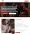 design and develop a responsive wordpress website in 15 hours