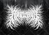 create death metal, deathcore, slam, and black metal  logo