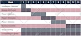 design modern infographic charts, graphs tables and diagrams