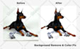 enhance online product pictures