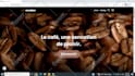fix wordpress bugs, wordpress errors, and wordpress issues