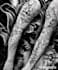 create a tattoo design of tattoo sleeve