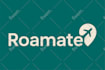 professionally refine your branding logo design fast