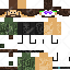 create a custom minecraft skin from your image or idea