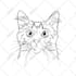 draw custom pet portrait in line art vector illustration