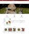 build alidropship aliexpress woocommerce dropshipping store ecommerce