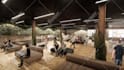 create premium cgi renders that bring your vision to life