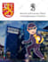 design professional original poster