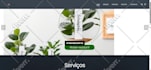 remove malware and virus from wordpress or any website