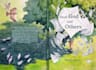 create book cover with specialize hand drawn illustration