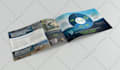 design a professional business brochure and flyer