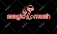 do minimalist and custom logo design
