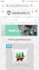 move or transfer your website within 30 minutes
