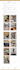 design, redesign and customize showit website and template
