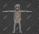 rig and optimize your vrchat or vtuber avatar in blender and unity