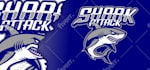 design a custom sports logo and brand identity