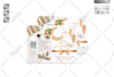 design an elegant brochure