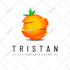design gaming, esport, youtube, twitch logo from your photo