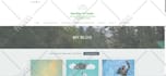 create responsive wordpress website design and development for your business