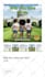 build shopify website, design or redesign shopify store, dropshipping store