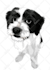 do vector illustration dog cat animal pet cartoon portrait