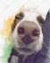 do a custom pet portrait, dog portrait, cat portrait