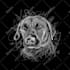 draw your pet into awesome scribble art