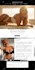 design and redesign your wordpress, wix and shopify website