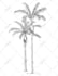 draw awesome coloring page for kids