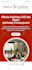 develop ai web application custom software development saas full stack developer