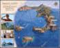 design great map in quality vector illustration
