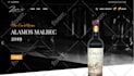 design online ecommerce website store in wordpress wix shopify