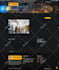 build design a responsive best wordpress website expert for your business blog
