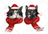 draw your christmas pet portrait