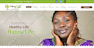 design or redesign wordpress elementor website for business or nonprofit charity
