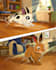 draw a children book illustration