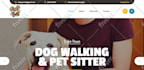 design a professional responsive landing or holding page