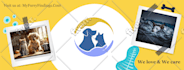 create and set up social media accounts, business profiles