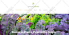 fix php wordpress website bugs, errors, remove malware, provide support and help