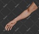 3d realistic character modeling and 3d character design and 3d rigging